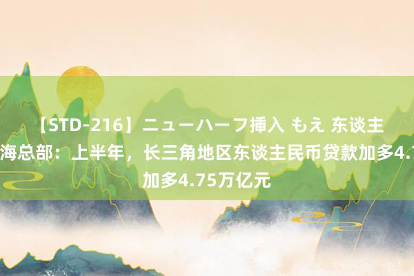 【STD-216】ニューハーフ挿入 もえ 东谈主民银行上海总部：上半年，长三角地区东谈主民币贷款加多4.75万亿元