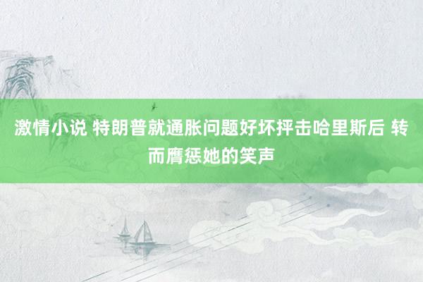 激情小说 特朗普就通胀问题好坏抨击哈里斯后 转而膺惩她的笑声