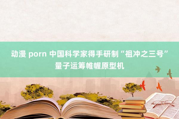 动漫 porn 中国科学家得手研制“祖冲之三号”量子运筹帷幄原型机