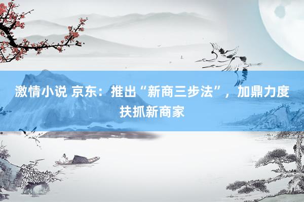 激情小说 京东：推出“新商三步法”，加鼎力度扶抓新商家
