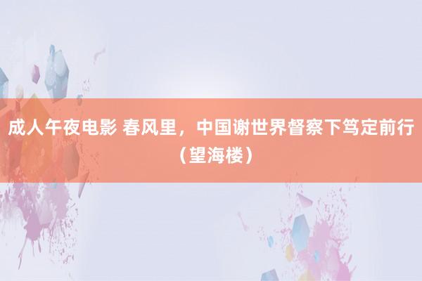 成人午夜电影 春风里，中国谢世界督察下笃定前行（望海楼）