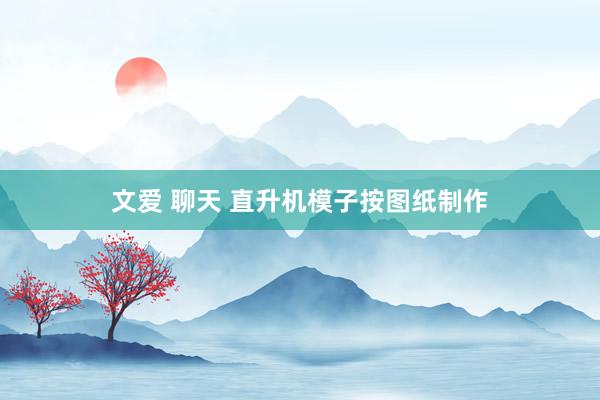 文爱 聊天 直升机模子按图纸制作
