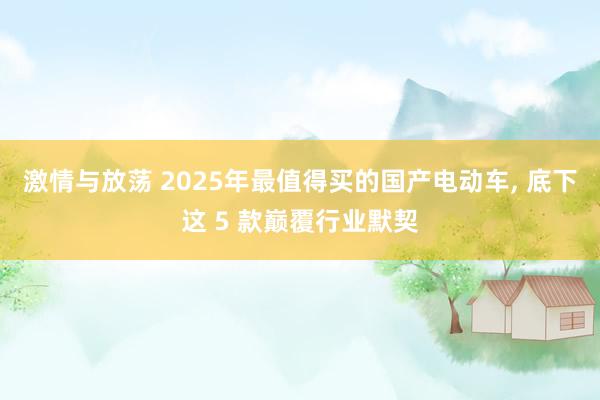 激情与放荡 2025年最值得买的国产电动车, 底下这 5 款巅覆行业默契