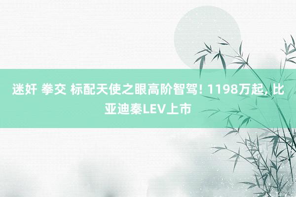 迷奸 拳交 标配天使之眼高阶智驾! 1198万起, 比亚迪秦LEV上市