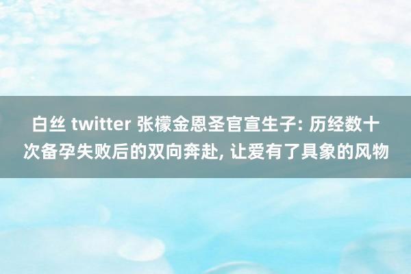 白丝 twitter 张檬金恩圣官宣生子: 历经数十次备孕失败后的双向奔赴, 让爱有了具象的风物