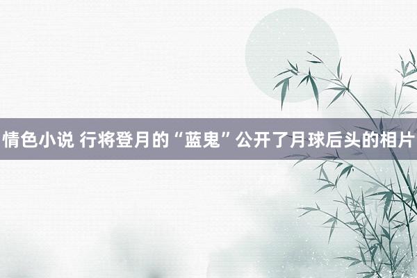 情色小说 行将登月的“蓝鬼”公开了月球后头的相片